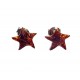 Sidabriniai auskarai su gintaru "Jūrų žvaigždės"